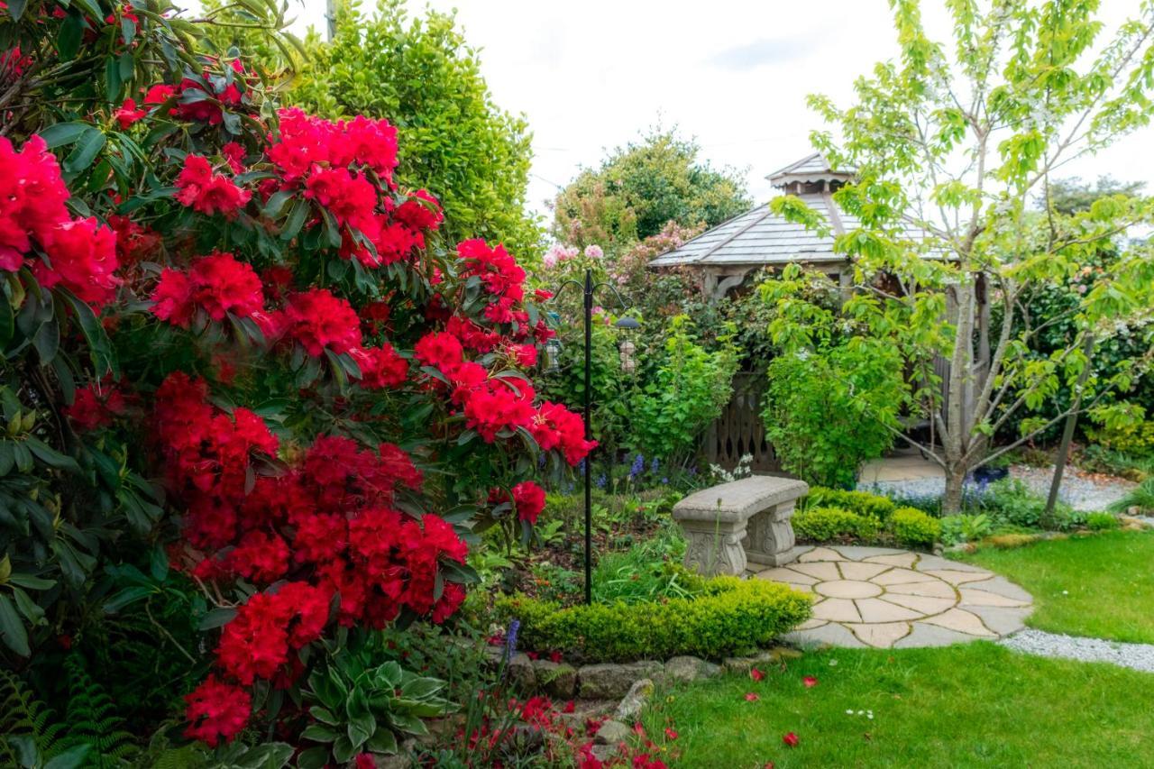 Rockleigh Place سانت أوستيل المظهر الخارجي الصورة